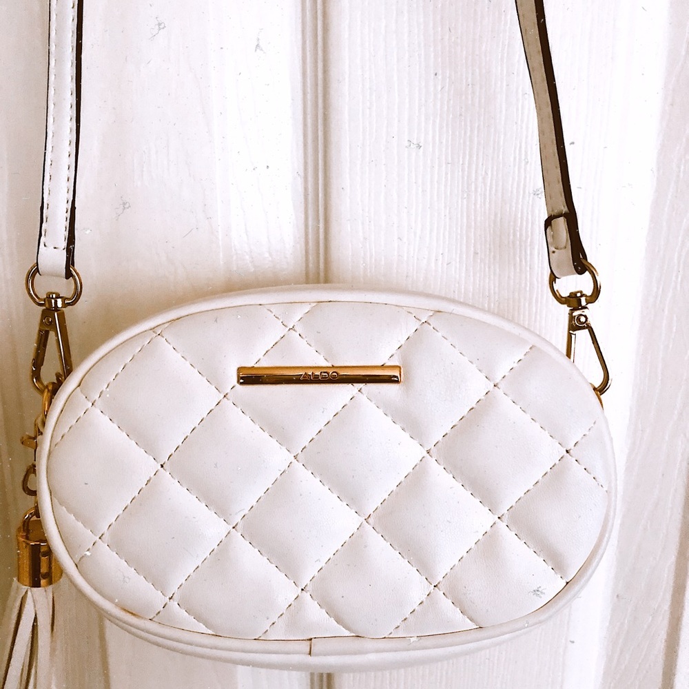 Aldo convertible fanny pack bag